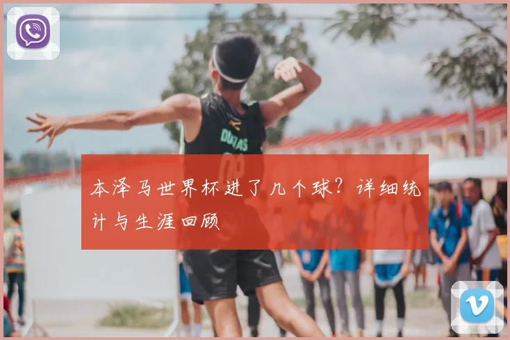 本泽马世界杯进了几个球?详细统计与生涯回顾