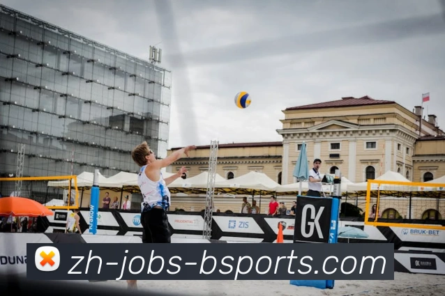 B体育平台生态图