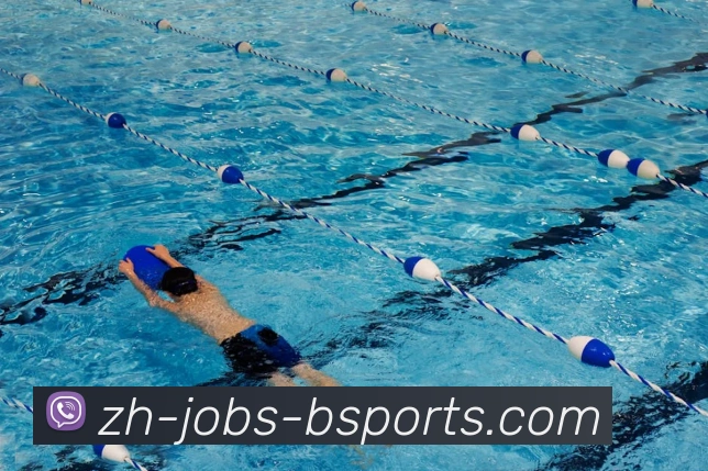 B体育APP 封面图